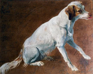 Fransk spaniel forfader, af Alexandre-Francois Desportes (1661-1743), Frankrig