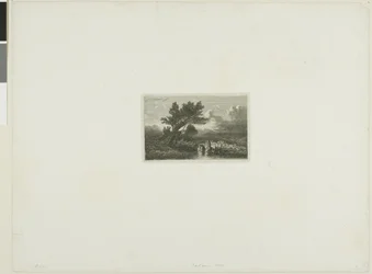 Alpine Landskab