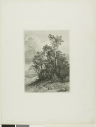 Alpine Landskab
