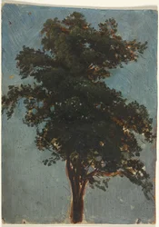Træstudie, anden tredje 1800-tallet.