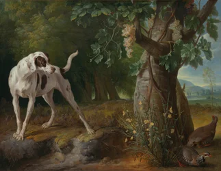 Hund, der peger på agerhøns i et landskab