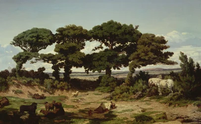 The Oaks of Kertregonnec, ca. 1869-70