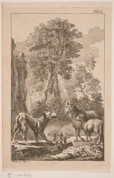 Ulven, fåret og lammet