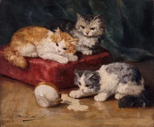 Kattene
