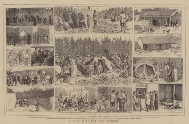 En tur med humleplukkerne