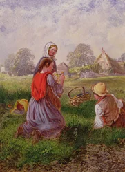 Plukker blomster