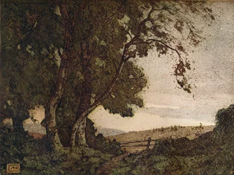 Den hængende aske, c1910