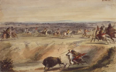 A Surround or Hunting the Buffalo, ca. 1839 (blyant, pen og blæk, akvarel og gouache på papir)