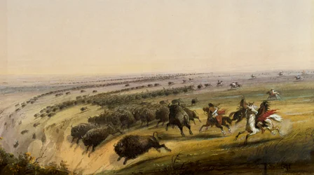 Bisonjagt