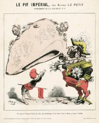 The Charge (1870), nummer 6, satirisk i farver