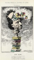 Tanker: Tegnefilm om Louis Blanc - ill. fra 04/02/1871 i "Dagens blomster, frugter og grøntsager"