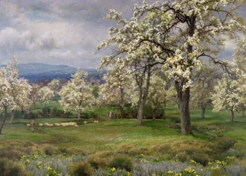 Pærehaven, ca. 1903