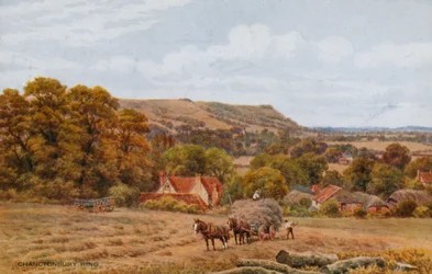 Chanctonbury Ring nær Worthing