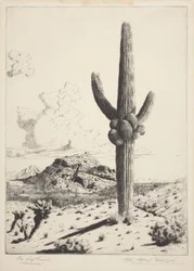 The Sentinel (Sahuaro) (ætsning og akvatint)