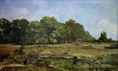 Kastanjegyde i La Celle-Saint Cloud