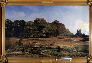 Allee af kastanjetræer til Celle saint Cloud af Alfred Sisley (1839-1899) 1865