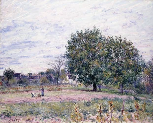 Valnøddetræer, virkningen af den nedgående sol - første dag i oktober, 1882