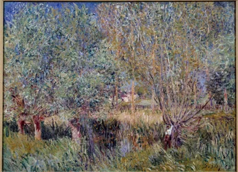 Piletræer på bredden af floden Orvanne. Maleri af Alfred Sisley (1839 - 1899)