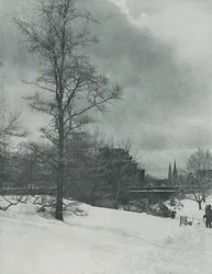En vinterhimmel – Central Park