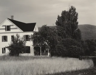 Hus og træer, Lake George