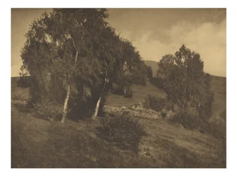 [Landskab, Tyrol]