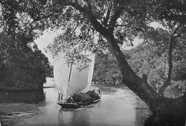 Paddabåd i fuld sejl, c1890, 1910