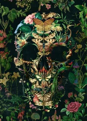 Mørkt botanisk kranium