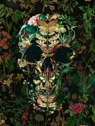 Mørkt botanisk kranium