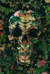 Mørk natur-kranium