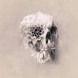 Æterisk blomsterkranium