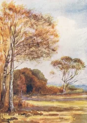 New Forest: Nedenfor Park Hill, set mod gården, oktober (farvelitografi)