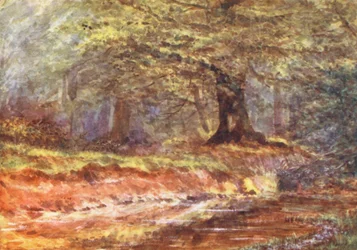 New Forest: In the Queen