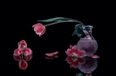Elegante lyserøde tulipaner