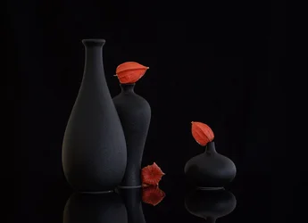 Stilleben med orange physalis