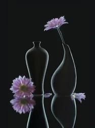 Fredfyldte blomsterrefleksioner