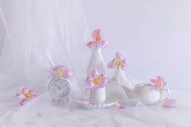 Lyserøde tulipaner