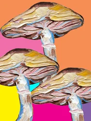 Psykedelisk svampe-popkunst