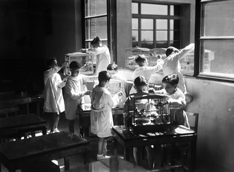 Villa Rosa Maltoni Mussolini: studerende, der observerer fugle i bur (s/h-billede)