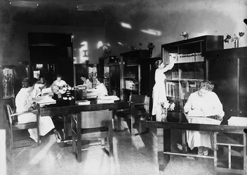 Villa Rosa Maltoni Mussolini: studerer på biblioteket (s/h foto)