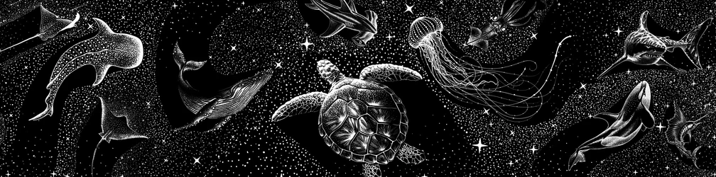 Kosmiske havdyr