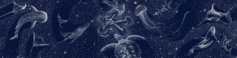 Kosmisk havdrøm