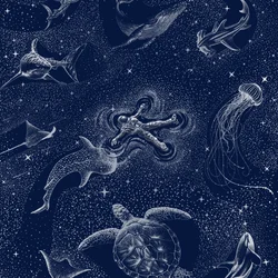 Rejse gennem det kosmiske hav