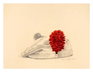 A Black Watch Red hackle, 2004