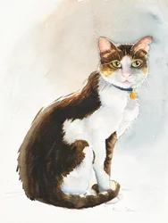 Dave the Saudi Cat, 2019 (akvarel)