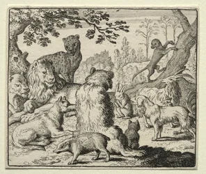 Reynard the Fox: Lion Orders Søg efter Reynard