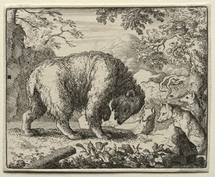 Reynard the Fox: Reynard lover honning til bjørnen.
