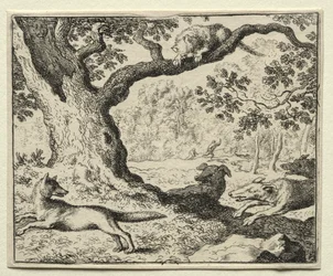 Reynard the Fox: Den illoyale kat