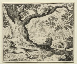 Reynard the Fox: Den illoyale kat.