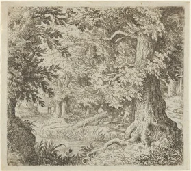 Bækken i skoven, 1600-tallet.