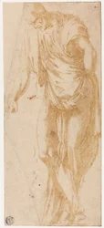 Studie af Levi